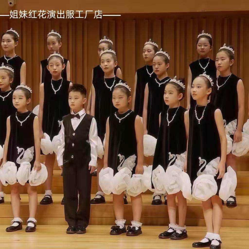 六一儿童合唱服装演出服男女童礼服中小学生表演朗诵纱裙大合唱团