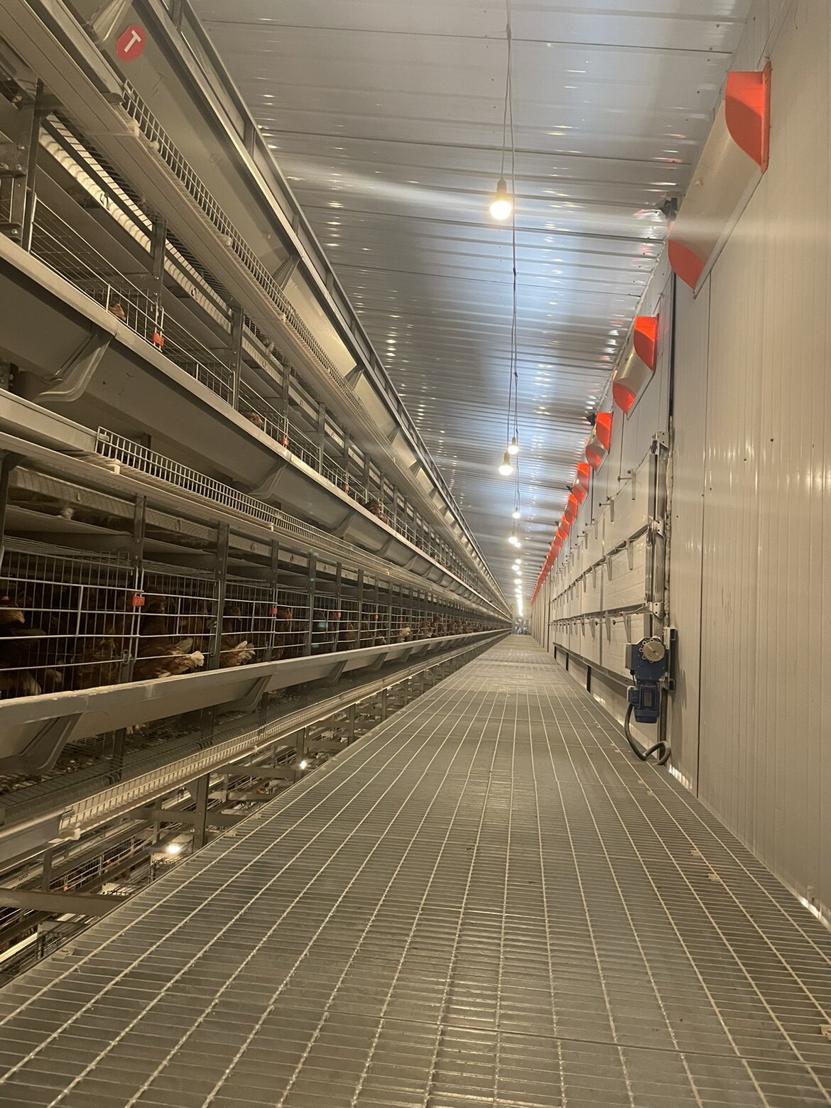 大牧人养鸡设备大牧人蛋鸡笼设备大牧人鸡笼设备大牧人层叠鸡笼