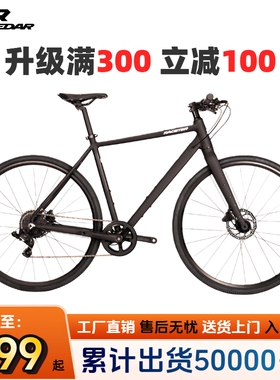 支持定制瑞仕达999平把公路车瓜车桶轴油刹油碟培林轮组通勤健身