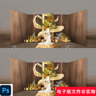 咖色布幔婚礼效果图迎宾区背景香槟色迎宾合影区布置背景设计素材