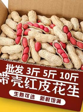 【新货】东北红皮花生带壳生花生米新鲜晒干小粒花生炒熟花生5斤