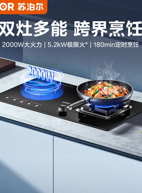 苏泊尔MY50S电气两用燃气灶煤气灶气电灶电磁炉气电家用一体双灶