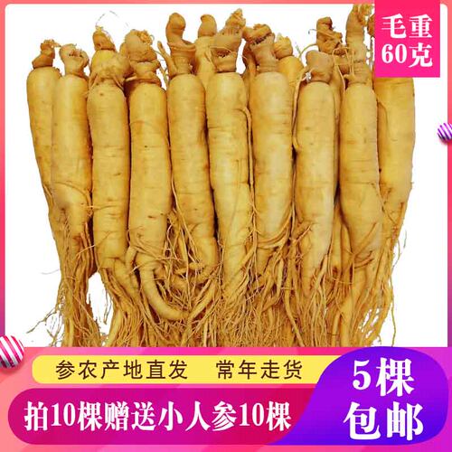 东北长白山保鲜参袋装5元一支新鲜人参五支产地包邮煲汤泡酒参 - 封面
