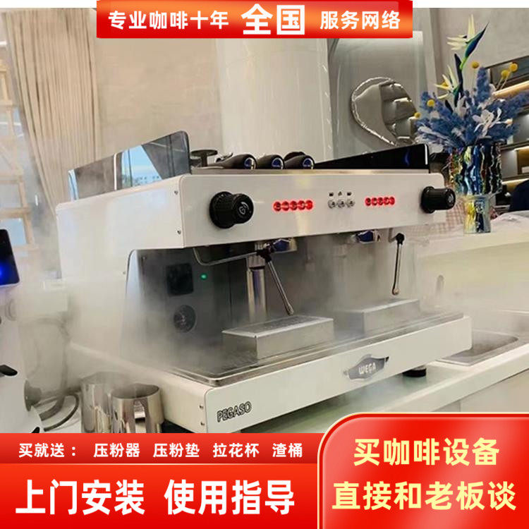 进口WEGA pegaso毕加索E61商用双头电控意式半自动咖啡机白