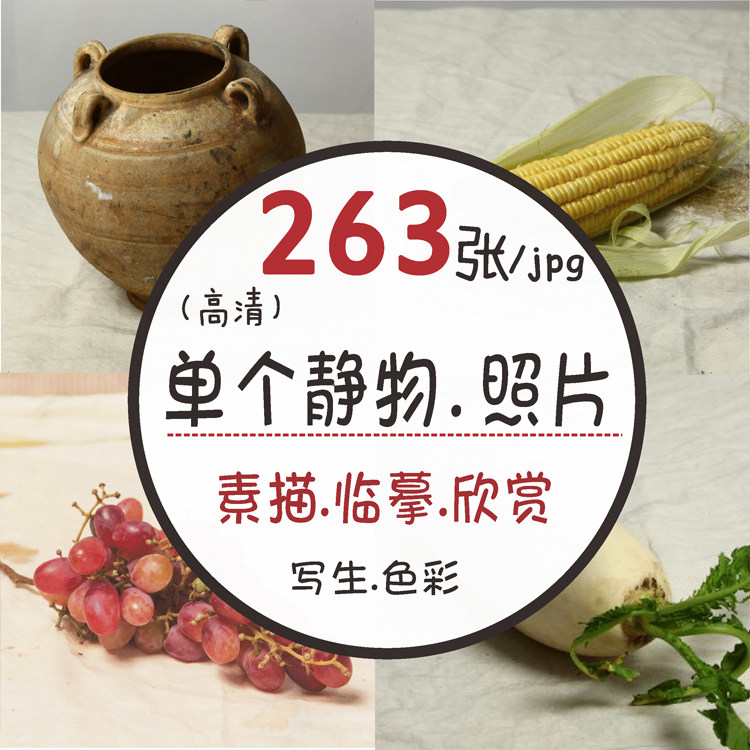 素描速写生水果蔬菜日用品单个静物电子图片色彩绘画参考高清照片