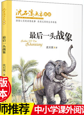 沈石溪画本 · 最后一头战象（新版）  动物小说大王沈石溪获奖作品 小学生课外阅读推荐经典文学故事【出版社直发】