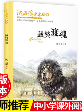 沈石溪画本 ·  藏獒渡魂（新版）  荡心灵的动物故事 壮美宏阔的生命画卷 课外阅读推荐书目【出版社直发】