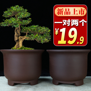 宜兴紫砂兰花盆圆口君子兰花盆专用中小筒盆景盆栽室内阳台陶瓷盆