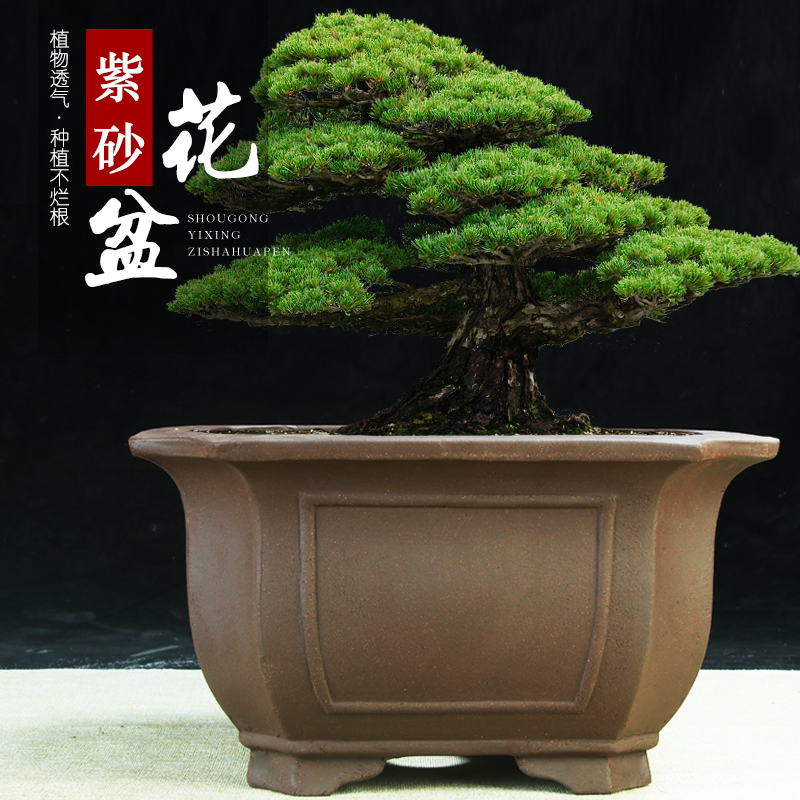 宜兴四方切角紫砂花盆特价清仓老桩绿植盆景盆特大口径花卉陶瓷盆