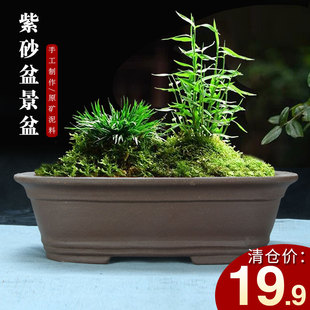 宜兴紫砂花盆老桩椭圆形陶瓷盆景室内客厅阳台大口径榕树盆栽盆景