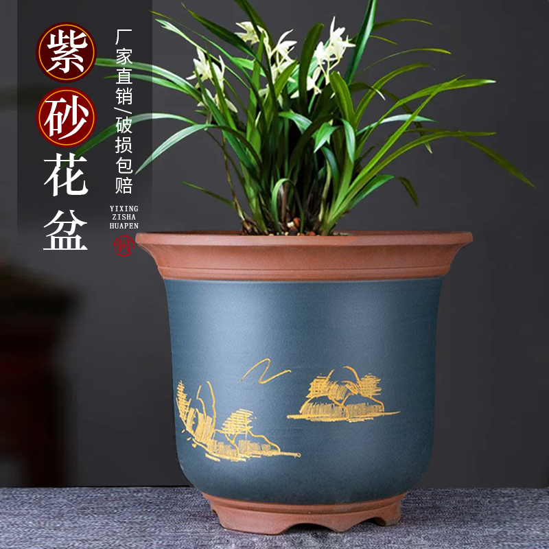 宜兴特大紫砂花盆金钟盆景盆特价清仓苍兰剑兰专用大号陶瓷兰花盆