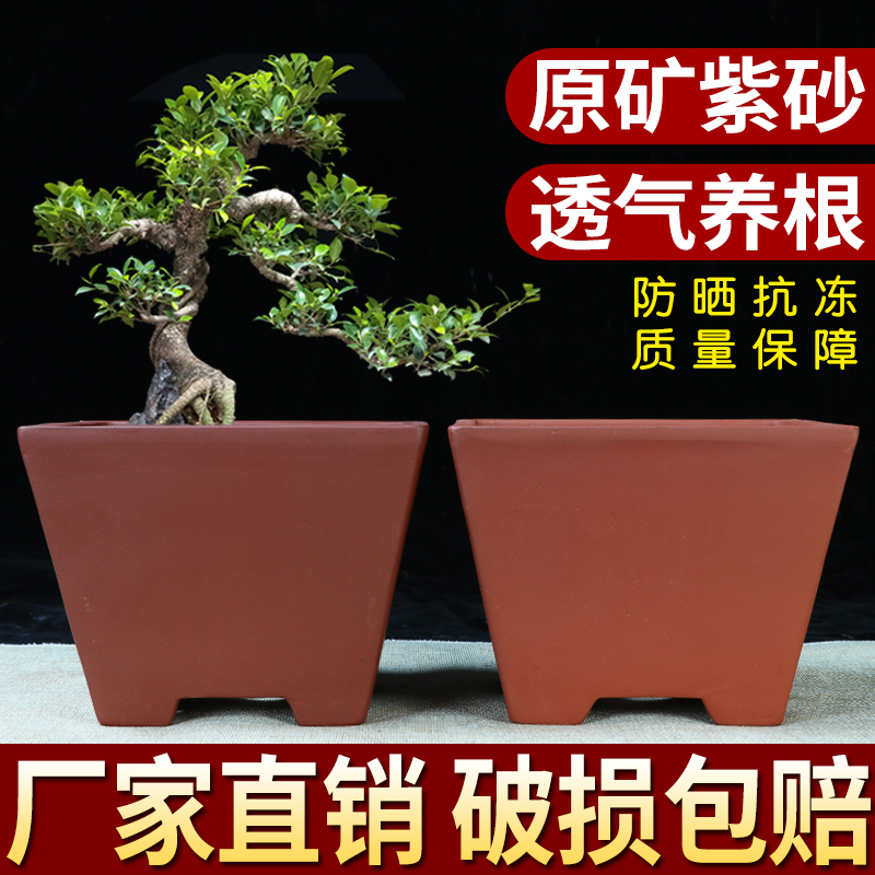 宜兴紫砂花盆绿萝兰花文竹小榕树特价清仓四方六方长方马槽陶瓷盆