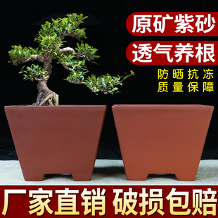 宜兴紫砂花盆绿萝兰花文竹小榕树特价清仓四方六方长方马槽陶瓷盆