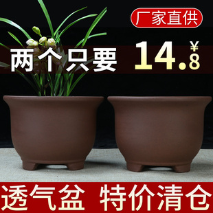 宜兴紫砂花盆室内阳台绿植种树金钟盆景盆中小圆形多肉小品陶瓷盆