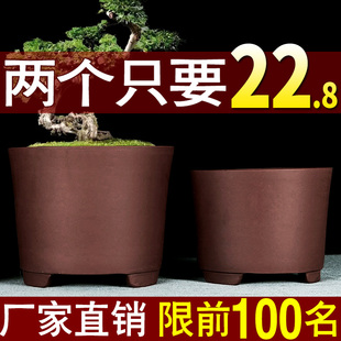 直桶紫砂特大号花盆特价清仓绿植多肉君子兰花盆专用大号陶瓷桶盆