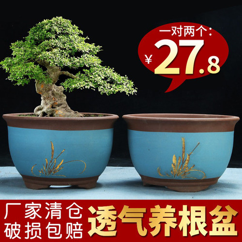 紫砂花盆特价清仓特大号描金种绿植花卉大口径三角金钟陶瓷兰花盆 - 封面