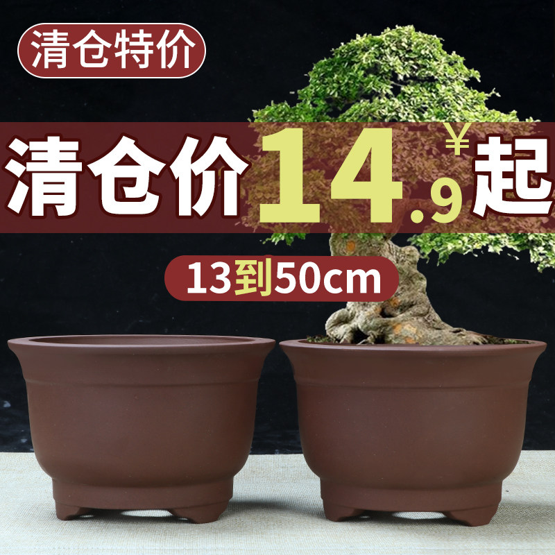 宜兴紫砂花盆室内阳台绿植种树金钟盆景盆中小圆形多肉小品陶瓷盆图片