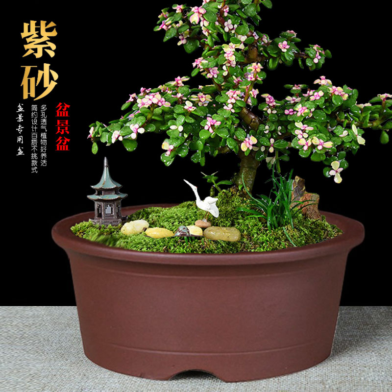 紫砂简约中国风特大圆陶瓷盆景盆