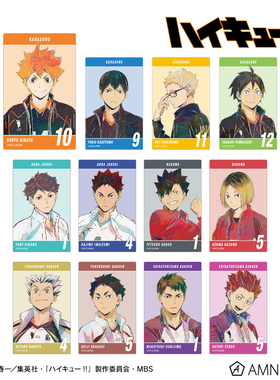 甘乐屋 现货 排球少年 amnibus Ani-Art 水彩风 第5弾 卡片贴纸