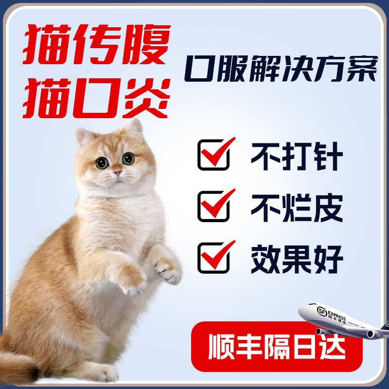 猫传腹口服片剂280l方案