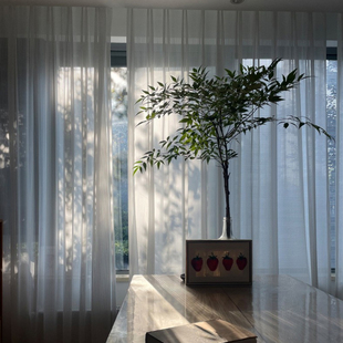 梦幻竖百叶窗帘透光不透人窗纱客厅阳台雪纺纱白纱免打孔纱帘卧i.