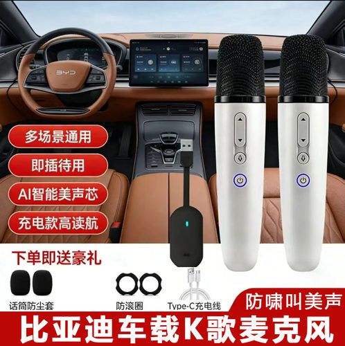适用比亚迪海豚麦克风秦plus唐dmi宋Pro汉K歌dilink原装车载话筒