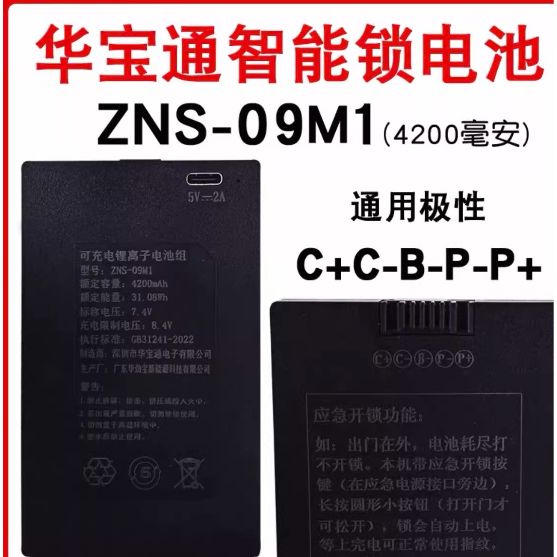 王力步阳东方电子智能ZNS-09M1图片