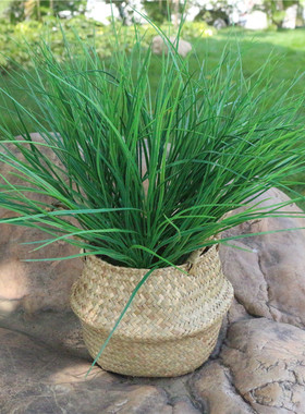 花箱插花塑料花假花绿植植物