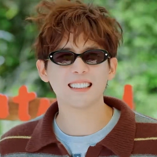 欧洲现在就出发3王安宇同款墨镜男女ins复古欧美气质百搭太阳眼镜