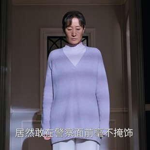 上衣裤 毛衣v领针织衫 子女衣服潮 名字刘敏涛葛文君同款 欧洲隐身