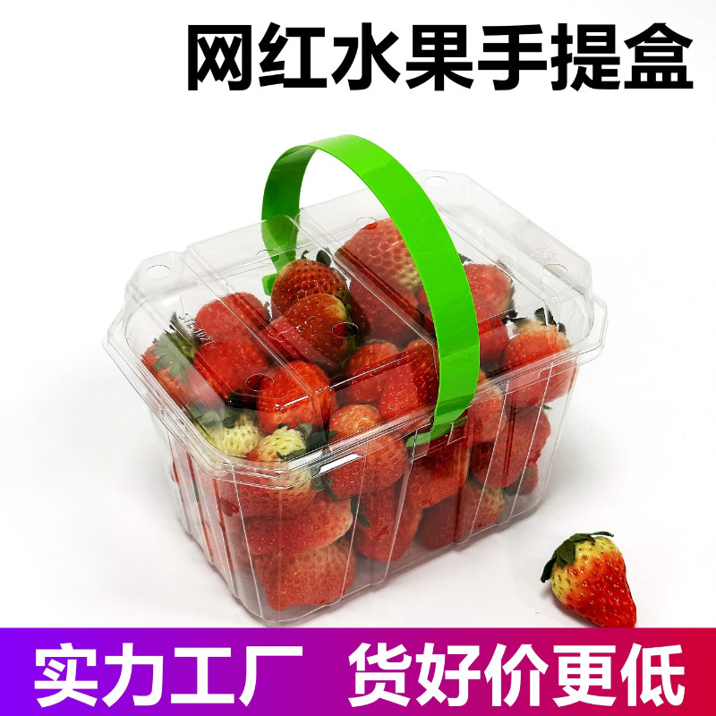 102一次性手提盒1-3斤透明水果盒打包盒塑料葡萄车厘子杨梅STL