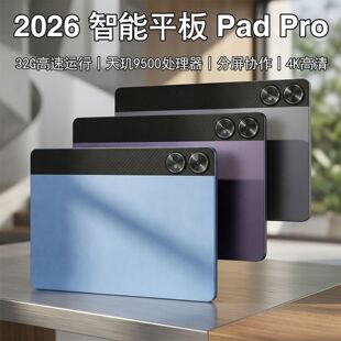 平板电脑2026新款 学生学习办公pad全网通可插卡 14.6寸护眼柔光版