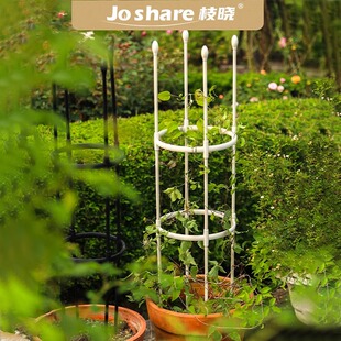 花架爬藤架铁线莲藤本月季风车茉莉植物架花柱架子园艺花支架