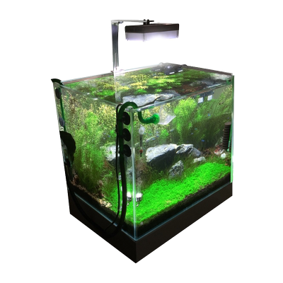 遥控水草灯尼特利全光谱at2鱼缸