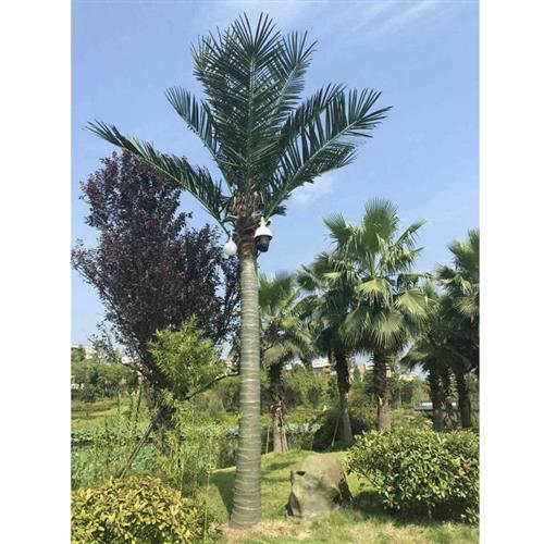 来图带灯椰子树仿真椰子树信号树水上乐园大型玻璃钢人造假树叶