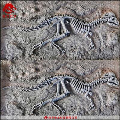 仿真恐龙迅猛龙翼手龙玻璃钢骨架化石室内外儿童沙坑考古恐龙埋藏