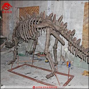 大型仿真恐龙棘龙甲龙基龙骨架化石模型定做动物骨骼标本