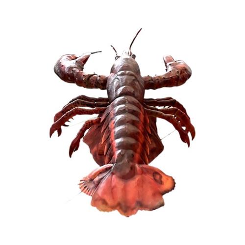 仿真动物动态模型龙虾爬爬虾模型海鲜馆馆饭店餐馆店招美陈装饰