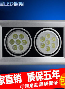 斗胆灯led格栅射灯单头双头