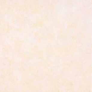 东鹏瓷砖防滑陶瓷砖600x600客厅卧室地板砖现代简约地砖广东佛山