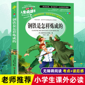 钢铁是怎样炼成 儿童文学世界名著小说故事畅销书无障碍考点精练 阅读经典 原著完整正版 小学生三四五六年级必读课外书籍寒假推荐