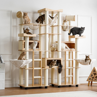兽牌猫城超大型猫专用猫爬架实木大平台豪华猫架高布偶缅因多猫舍