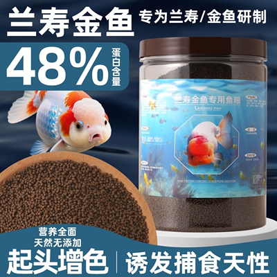 兰寿金鱼饲料专用鱼食