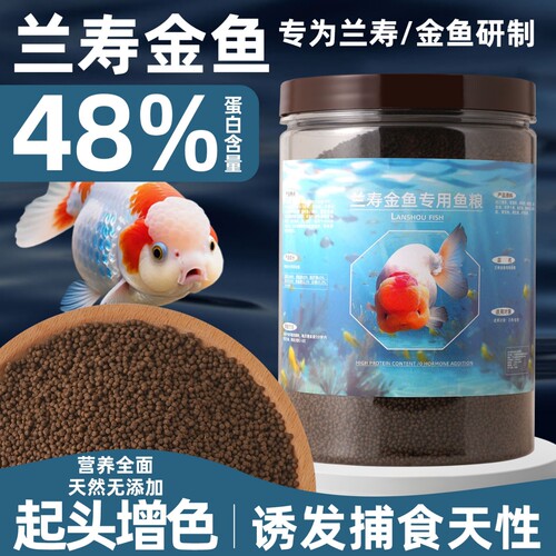 兰寿金鱼饲料专用鱼食