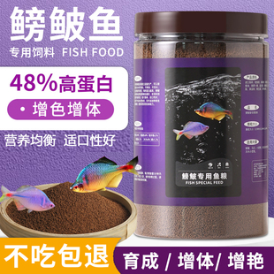 鳑鲏专用鱼饲料小型原生观赏鱼鱼粮增色增艳小颗粒高蛋白通用鱼粮