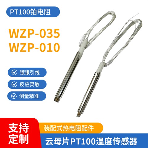 热电阻铂电阻PT100温度传感器