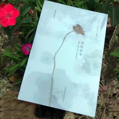 正版书籍爱的艺术弗洛姆李健鸣译文爱情秘诀上海译文出版社 144卡