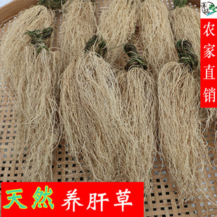 养肝草农家自产丝线根护肝龙须草特色食材煲汤鲜香开胃草汤料50克