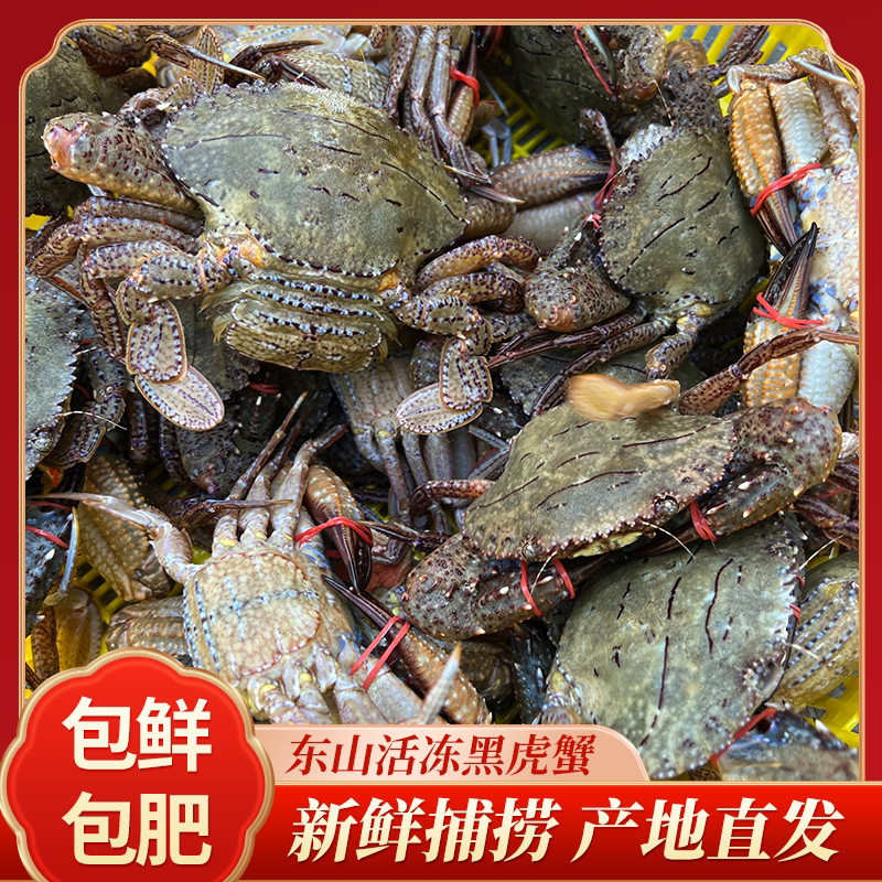 【姐夫】福建东山岛海捕黑虎蟹速冻螃蟹 海蟹 3斤 蒜瓣肉