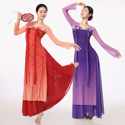 古典舞蹈服女汉唐齐胸飘逸纱衣日常新中式舞台表演服国风演出服